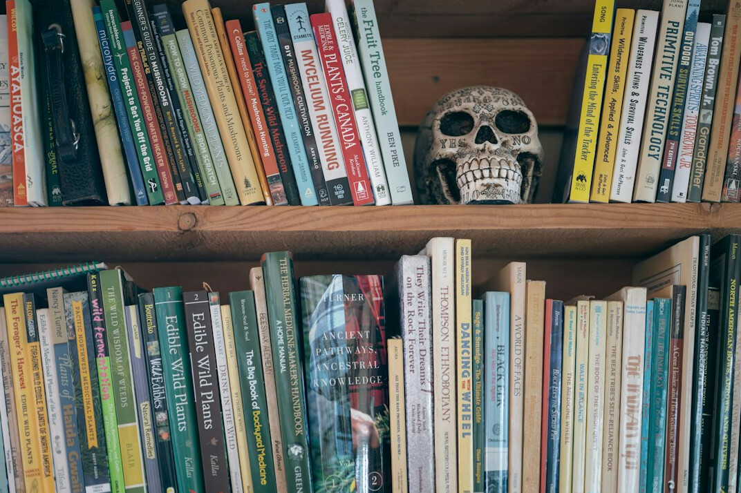 Rows of old books on a wooden library shelf